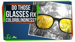 Do Those Glasses Really Fix Colorblindness? Instructional Video