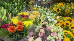CLEAN : Flower market sees huge rise in demand following death of Queen Elizabeth II News Clip