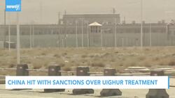 Newsy’s Latest Headlines News Clip