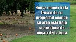 Mexfly in Texas Spanish Instructional Video