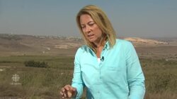 Fragile ceasefire takes effect in Syria News Clip