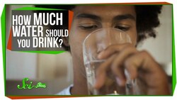 World’s Most Asked Questions: How Much Water Should I Drink a Day? Instructional Video