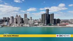 Windsorites — including Tigers fans — rallying behind World Series-bound Blue Jays News Clip