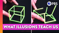 Can Illusions Teach Us How the Mind Works? Instructional Video
