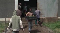 Ethiopia's Abundant Farm Investments News Clip