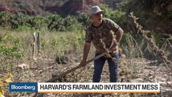 Harvard's Foreign Farmlands Prove to Be Trouble News Clip