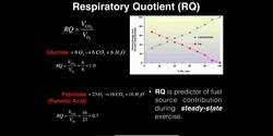 Exercise Physiology | Respiratory Quotient (RQ): What is it? Instructional Video