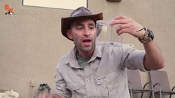 WILL IT BITE?! - Black Widow Challenge Instructional Video