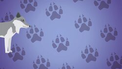 Do All Wolf Howls Sound The Same? Instructional Video