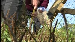 Sir Ed Davey joins volunteer group to build stile in Mid Sussex News Clip