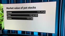 Canada's pot companies skyrocketing in value News Clip