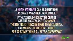 4 Ways Humans Are Still Evolving Instructional Video