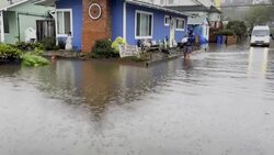 CLEAN : California residents reflect on extreme weather after heavy flooding News Clip