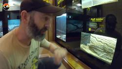 SNAKE CHALLENGE - Which one is Deadliest?! Instructional Video