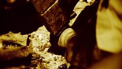 How to Become an Honorary Croc Island Ranger Instructional Video