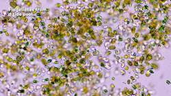 Relax and Enjoy the View Instructional Video