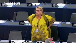 Violence in the Gaza Strip - European lawmakers weigh in News Clip