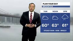 Expect clouds, steady rain and cooler temps today for Brooklyn News Clip