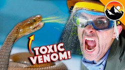 Spitting Cobra vs My Face Instructional Video