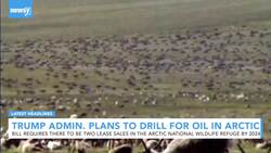 Newsy's Latest Headlines News Clip