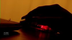 Winnipeg couple charged with killing animals also discussed intent to torture a child, police allege News Clip