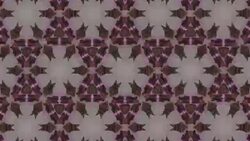 defocused , Surreality abstract motion graphics Stock Footage