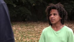 Dissecting the Diet of the Powerful Owl Instructional Video