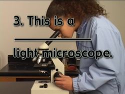 The Microscope: Video Quiz Instructional Video