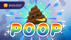 How Animals Turn Resources Into Waste: The Poop Episode: Crash Course Biology #43 Instructional Video