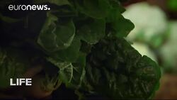 Peruvian pleasures of the table News Clip