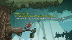 Learning to Fly Instructional Video