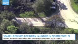 Search Resumes For Brian Laundrie In North Port, FL News Clip