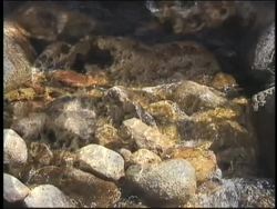 Minerals and Their Properties: What Is a Mineral? Instructional Video