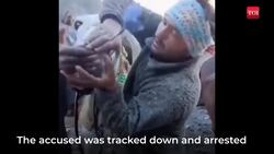 Kedarnath Viral Video: Mule forced to smoke 'Ganja Joint' on the way to Shrine News Clip