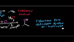 Oxygen Consuming Enzymes Instructional Video