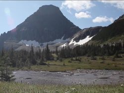 Spring: What Causes Spring? Instructional Video