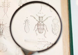 Factpack: Classification Instructional Video