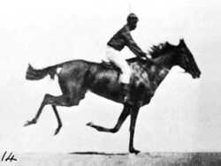 The Galloping Horse (1878) Instructional Video