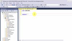 SQL Server Course for Beginners with 100+ examples - Stored Procedures in SQL Instructional Video