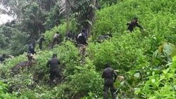 VOICED : Militares desplegados en Honduras para evitar que se convierta en país productor de coca News Clip