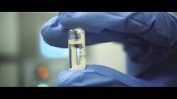 Made in Poland Instructional Video