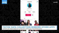 TikTok Poses Similar Data And Privacy Risks As Facebook, Google News Clip