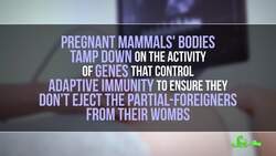 Seahorse Pregnancies Could Help us Treat HIV Instructional Video