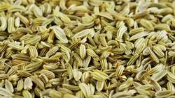 Macro shot of fennel seeds, Wellness concept, body care, digestion. Stock Footage