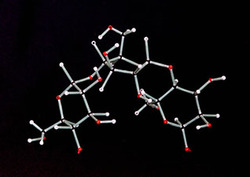 Polymer Instructional Video