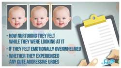 Why Are Feelings So Complicated?! | Compilation Instructional Video