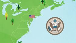 The Bald Eagle Instructional Video