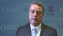 WTO chief on Brexit and world trade forecasts News Clip