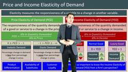 Understanding Elasticity in Business: Price and Income Elasticity of Demand Instructional Video