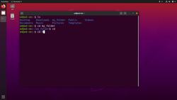 Practical Linux Command Line 2.0 - Tips: Autocompletion, History, Clear the Terminal Instructional Video